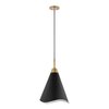 Nuvo Tango 1-Light Medium Pendant - Matte Black with Burnished Brass 60/7473